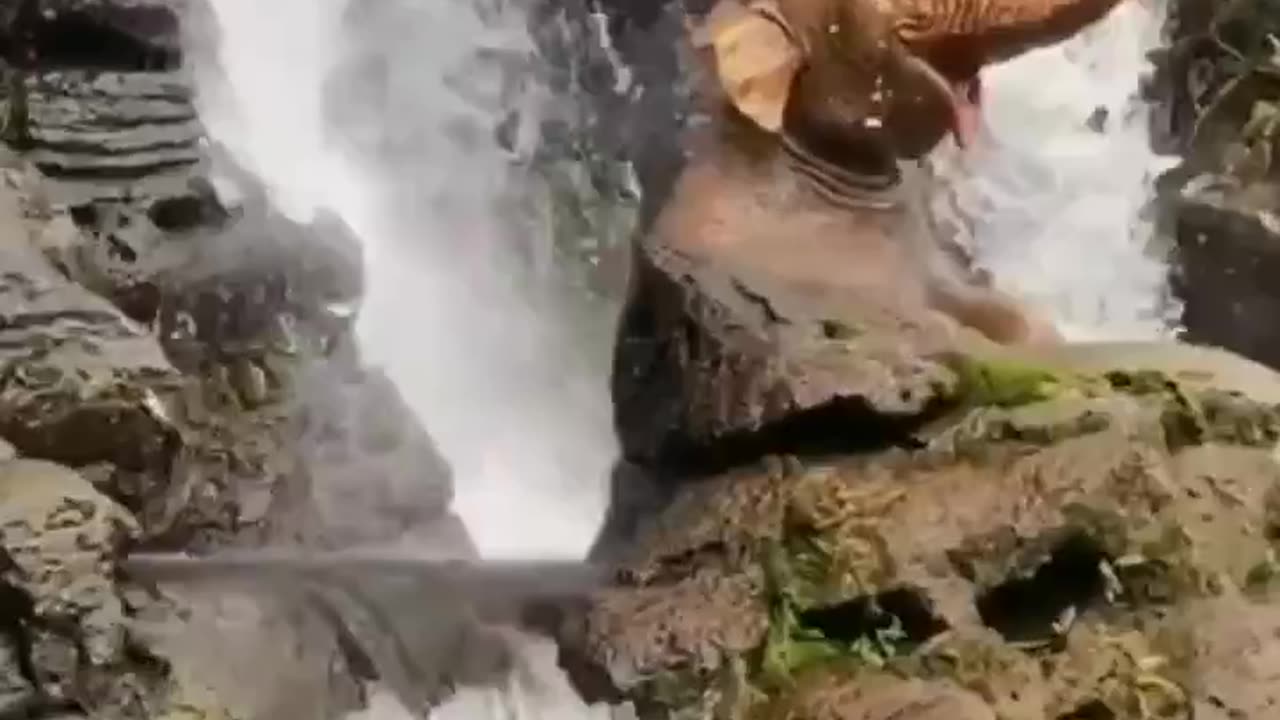 TRY NOT TO LAUGH 😆 Best Funny Videos Compilation 😂😁😆