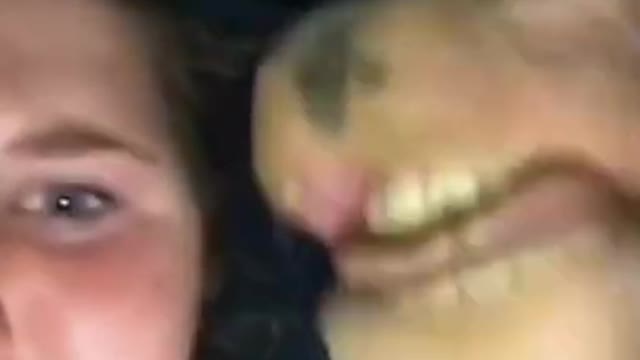 Try Not To Laugh 😂🐕 Funny Cats and Dogs - Funny Animal Videos 2022 🤣
