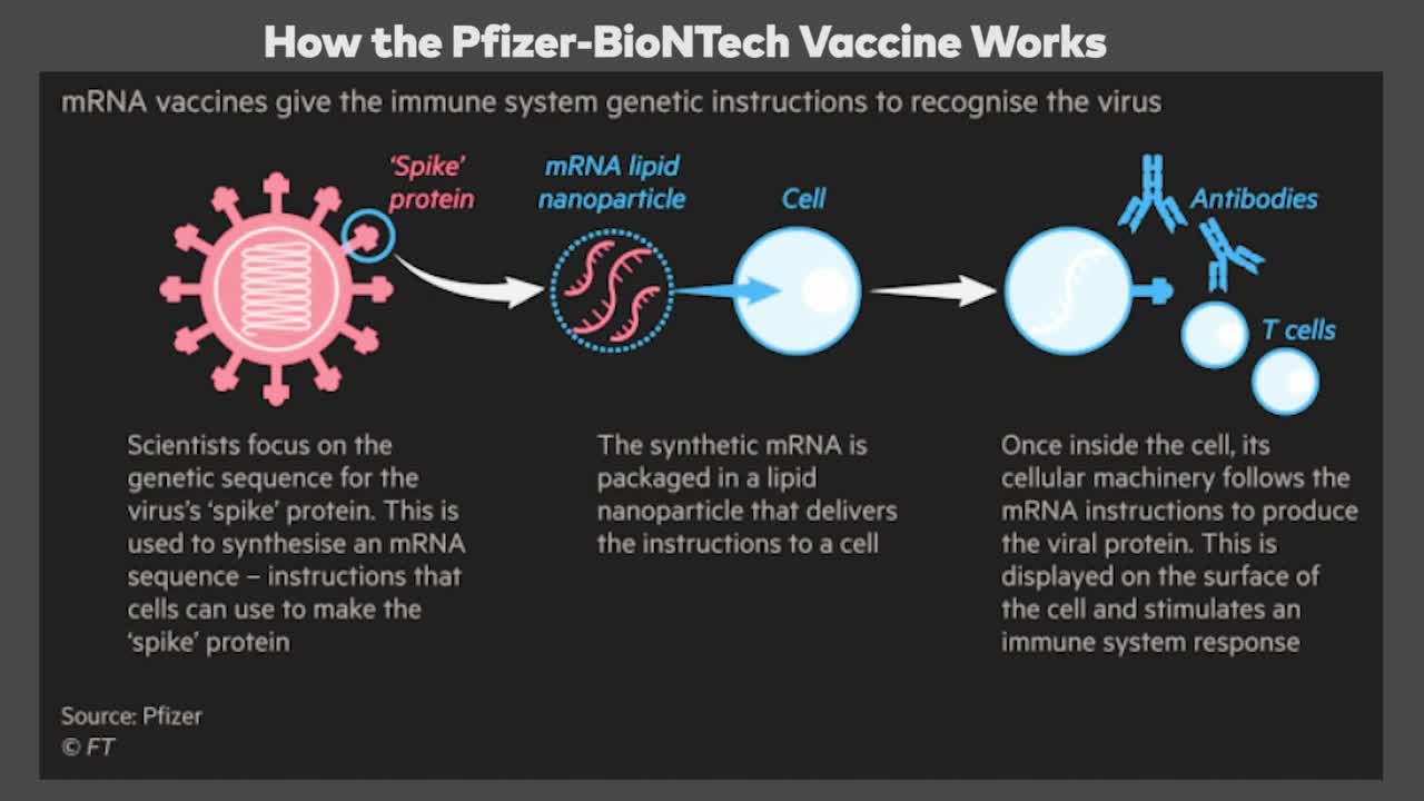 COVID-19 Vaccines: How Do They Work?