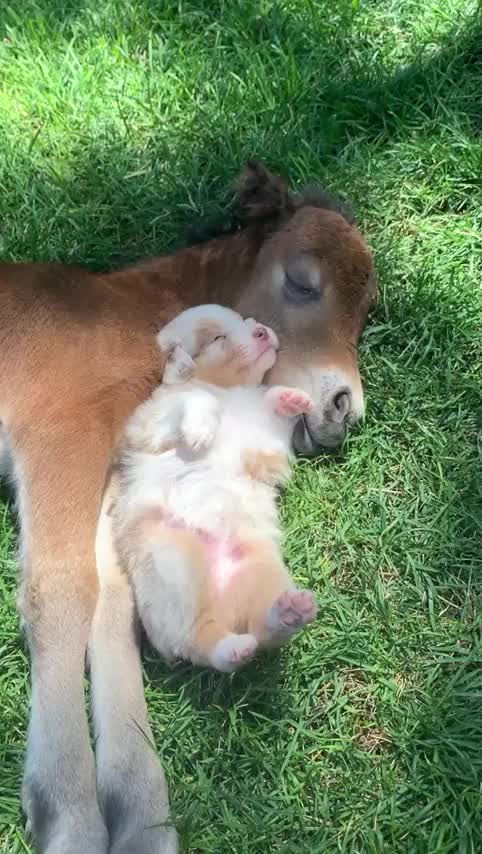 Awe. This is so cozy