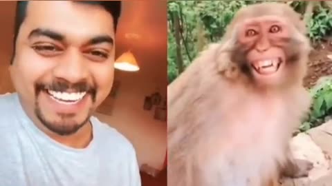 "Hilarious Prank: Fake Dog Scares the Fur off Other Animals