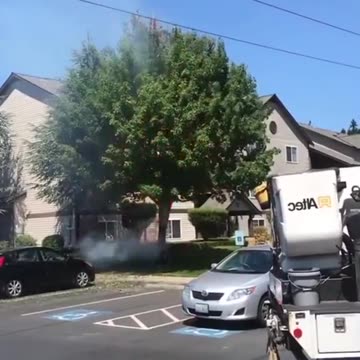 Direct Energy Weapon Takes Down a Tree?