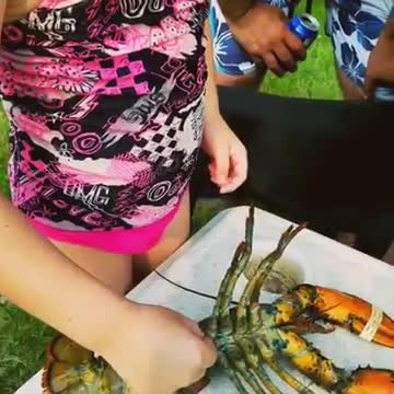 Child Encounters a Lobster