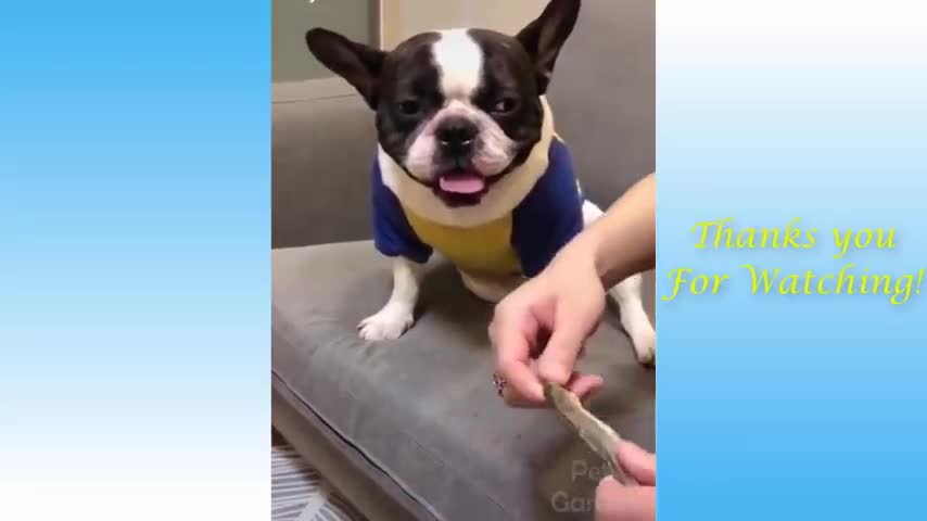 Funny hilarious animalsππ€£ππ€£ππ€£π