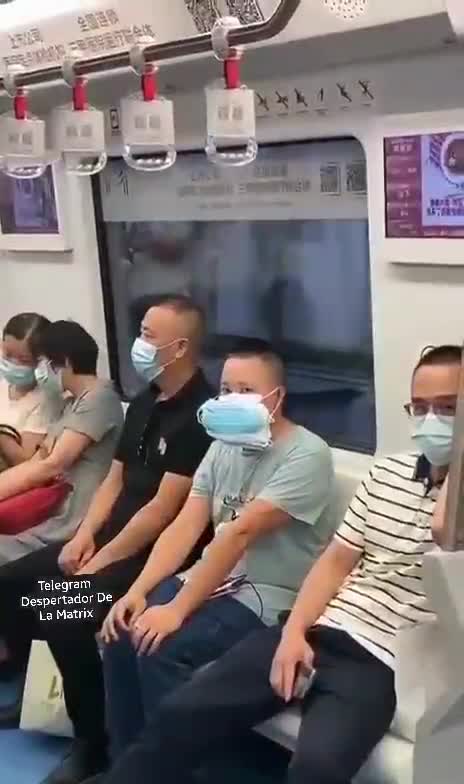 Covidiota puro y duro. Donde va la humanidad? Plandemia Covid 19 Coronavirus