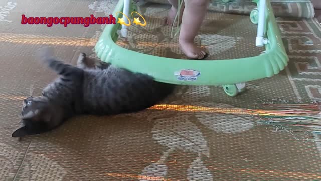 baby and cat play together