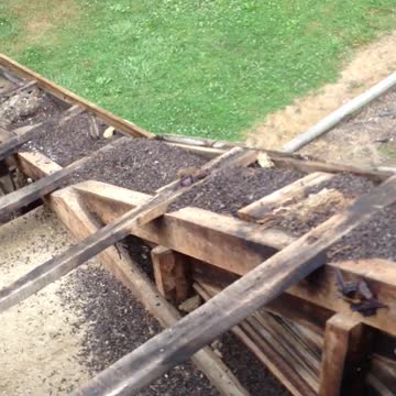 Vampire Bat Colony Revealed In Roof