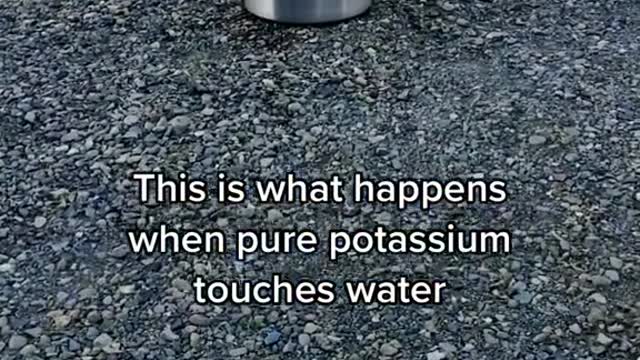 This is what happens when pure potassium touches water