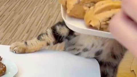 So cute