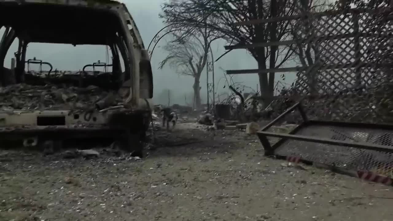 Raw Video: Photojournalist rescues puppy from ruins of home destroyed by McKinney Fire