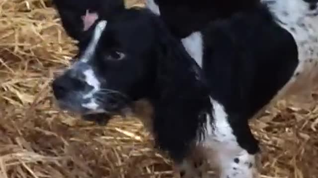 5Η ΜΕΡΑ ΚΑΙ ΑΚΟΜΗ ΔΕΝ ΕΧΟΥΝ ΚΑΤΑΛΑΒΕΙ ΤΠΤ.