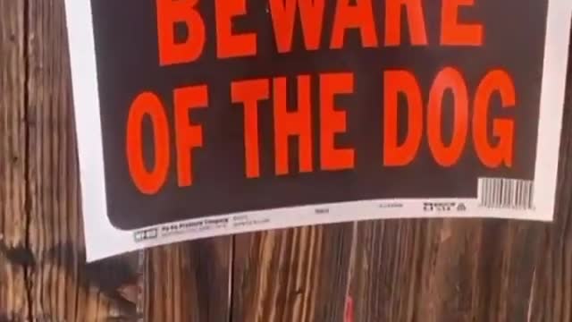 Beware of the dog