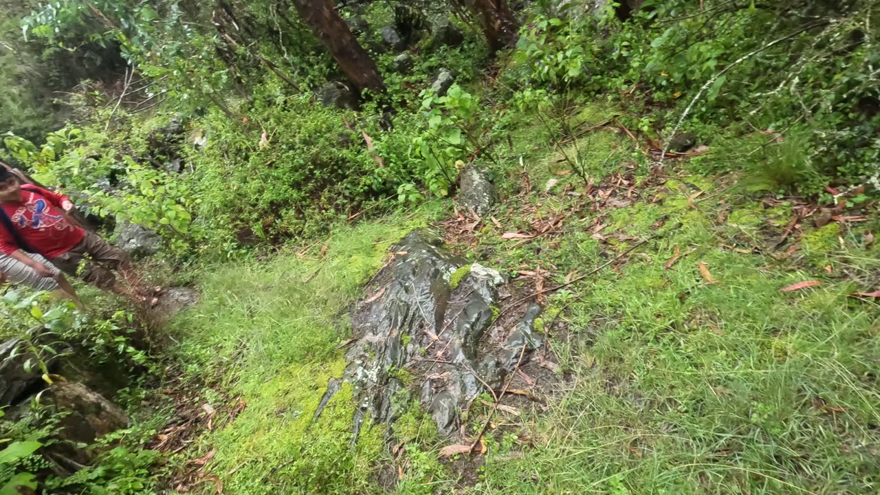 Yachankuña - Ya Saben