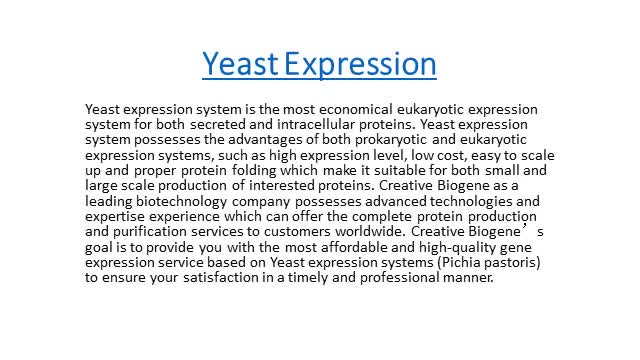 Yeast Expression System