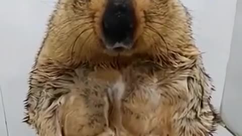 Those looks! ❤️😂