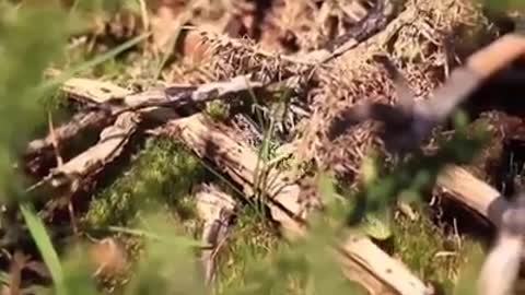 Time with God - December 9