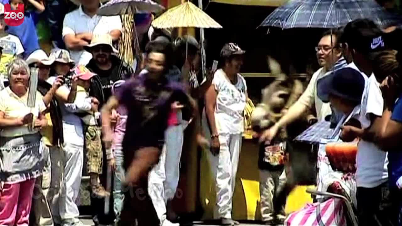 Mexican Donkey Parade
