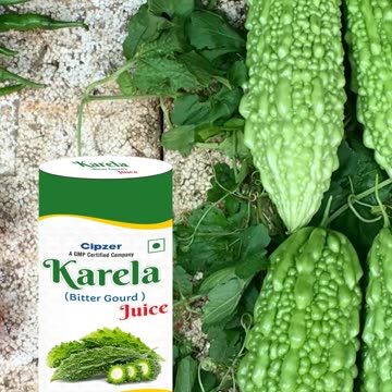 स्वाद में कड़वा करेला सेहत के लिए है वरदान