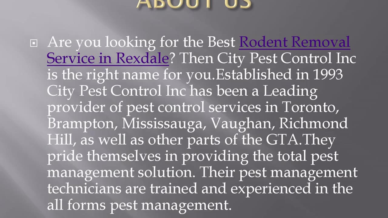 Best Rodent Removal Service in Rexdale