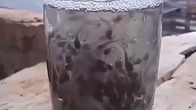 funny drink
