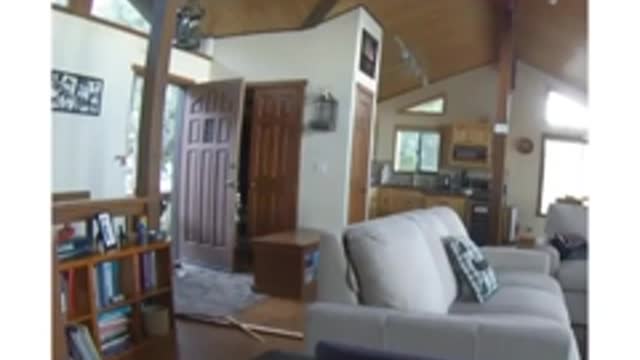 Urso invade casa no Canadá