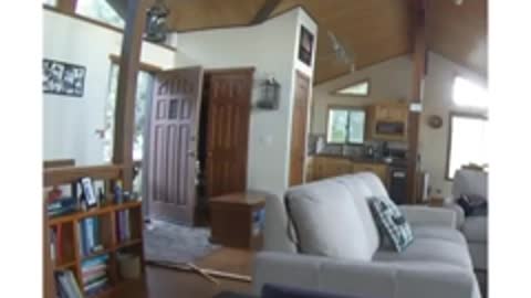 Urso invade casa no Canadá