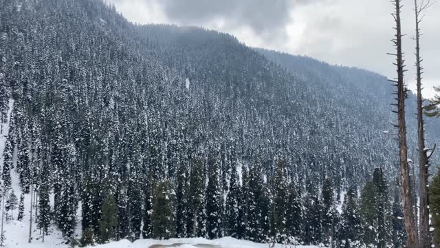 Mesmerising Snow view