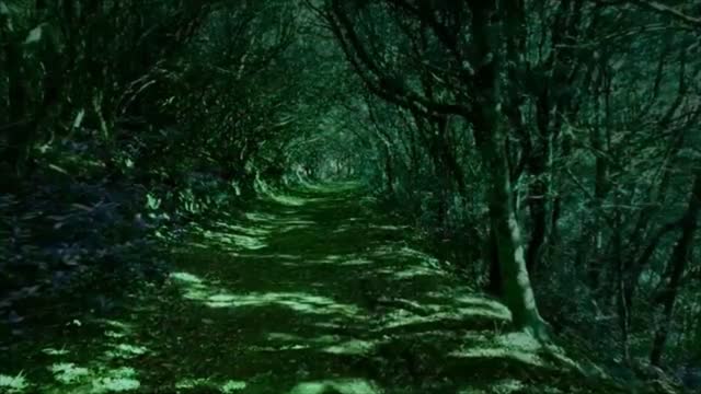 Relaxing sleep music + Deep sleeping