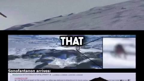 Ancient Ice Spiders in Antarctica