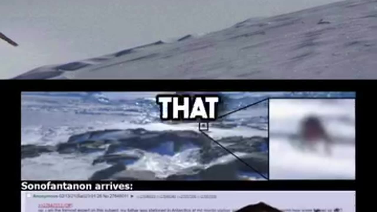 Ancient Ice Spiders in Antarctica