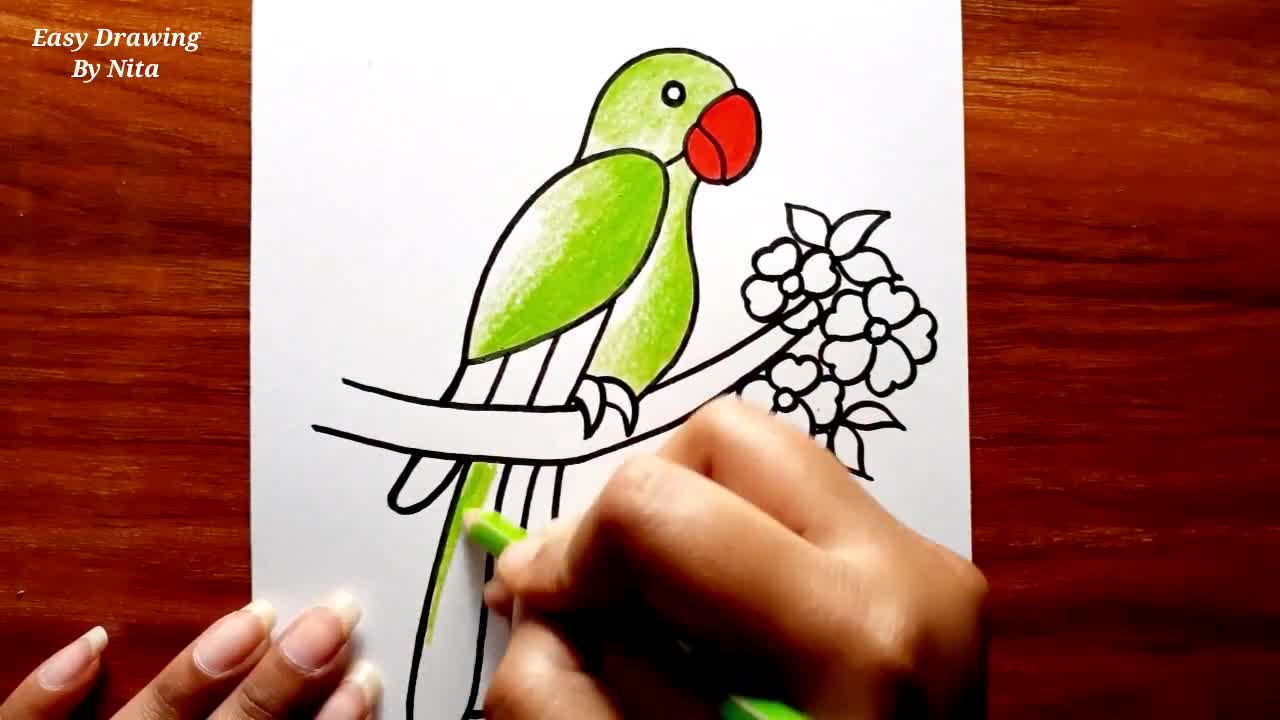 How To Draw Parrot For Beginners -- Parrot Drawing Colour -- Parrot Drawing Tutorial -- Bird Drawing