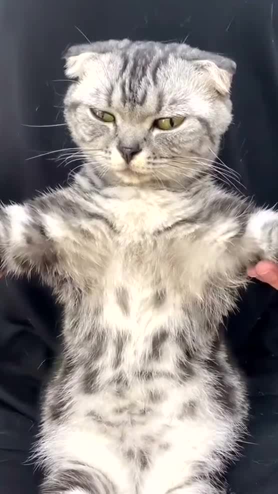 You wanna dance with me ??