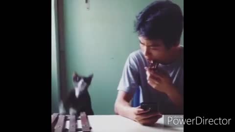 New Nokia Ringtone Maker