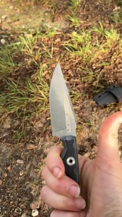 My Wife’s EDC. 🔪 #shorts #youtubeshorts #knives