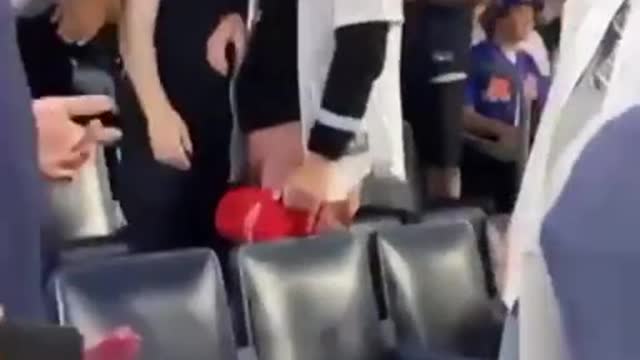 Crowd Goes WILD When Man Puts on MAGA Hat at Baseball Game