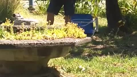 Saturday June 19, 2021 dex live at stumble and relish