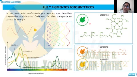 SEMESTRAL ADUNI 2023 | Semana 04 | Biología