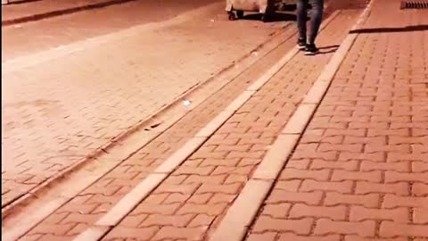 Sehen Sie betrunken, was er überrascht