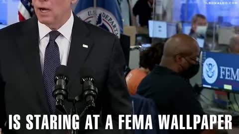 How to pretend to have diversity instead of actually running FEMA