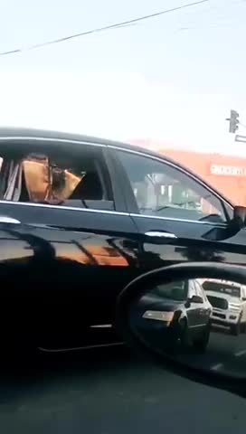 Stuck in a bubble!!!