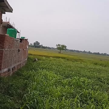 Wow what a beautiful place?