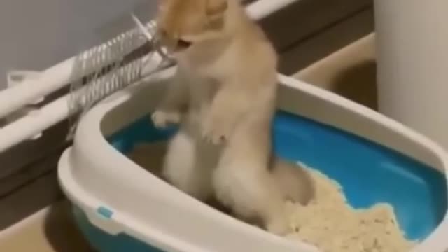 Very funny! I posted a similar video on my YouTube channel😂