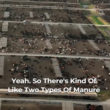 🌱♻️ Manure Management 101: Turning Waste Into Gold! ♻️