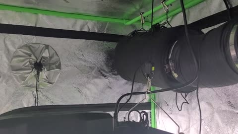 My Grow Setup - Capital Budz!