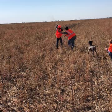 09-22-18 Youth Pheasant Hunt - Nunn Colorado