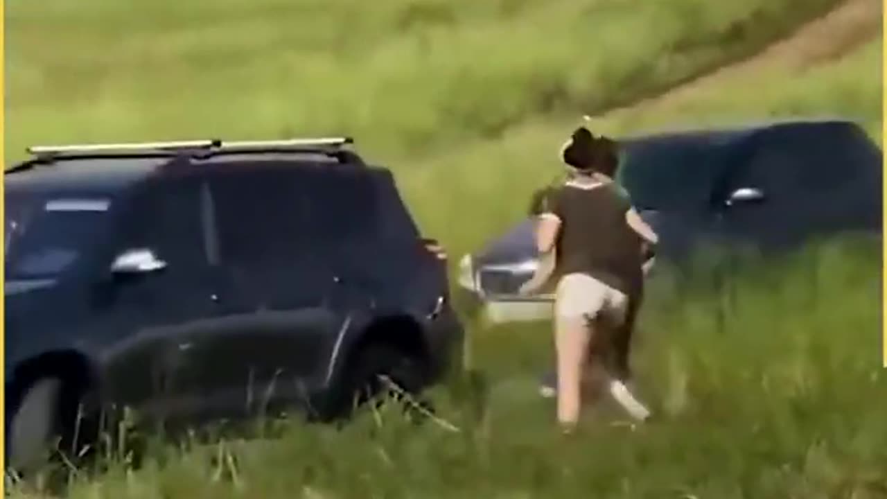 Funny videos #13