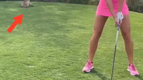 Pinki girl golf game