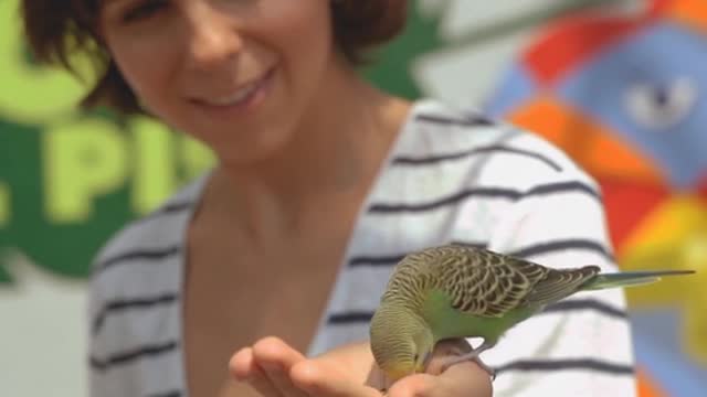 A girl and a pheasant are good friends