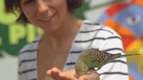 A girl and a pheasant are good friends