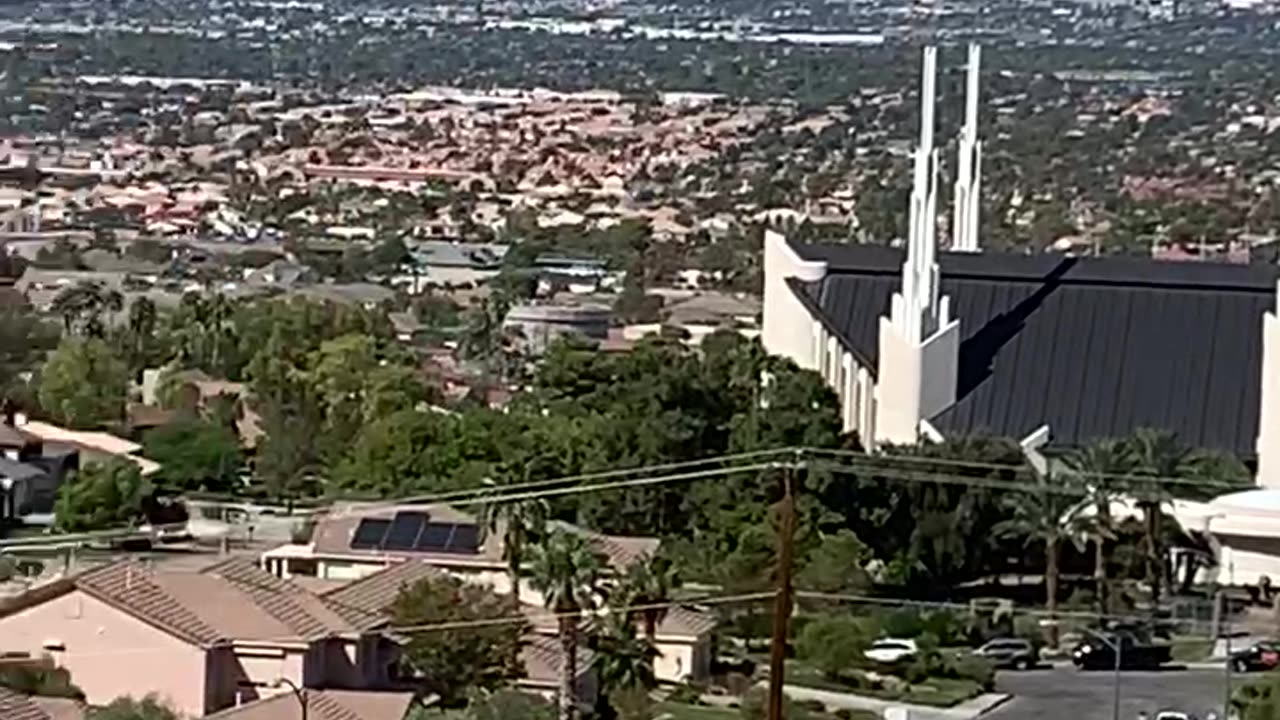 2 large birds soaring by the Las Vegas temple.